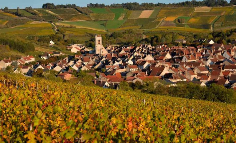 Lire la suite à propos de l’article Domaine Colinot à Irancy : la perle rouge de l’Yonne