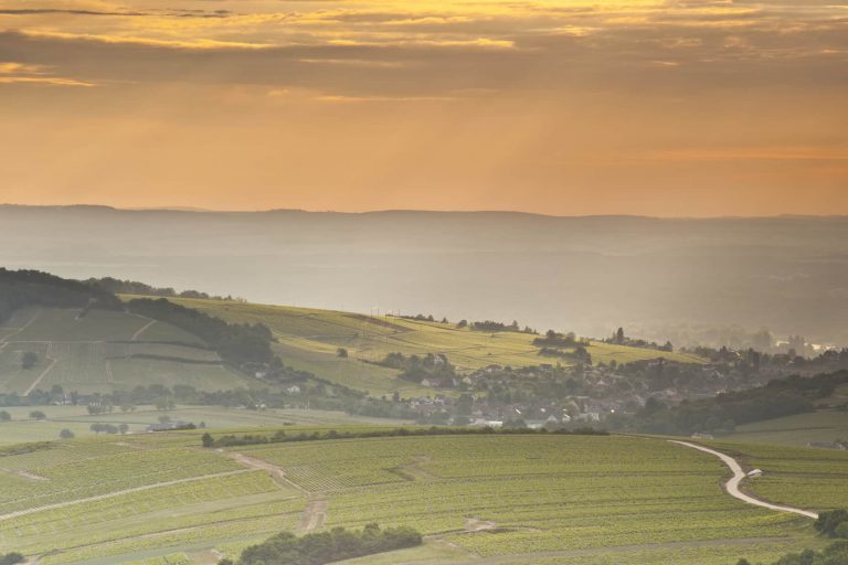 Lire la suite à propos de l’article Arrachage de vignes : que se passe-t-il à Sancerre ?