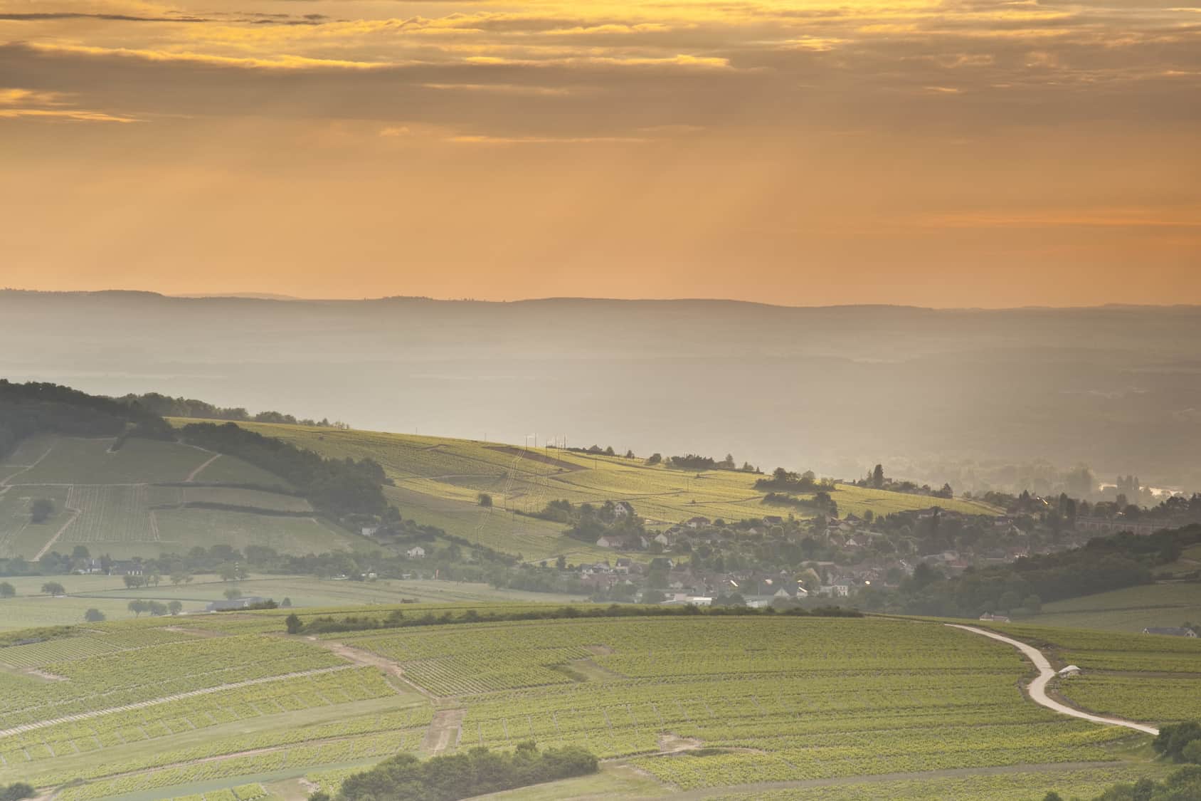 Lire la suite à propos de l’article Arrachage de vignes : que se passe-t-il à Sancerre ?