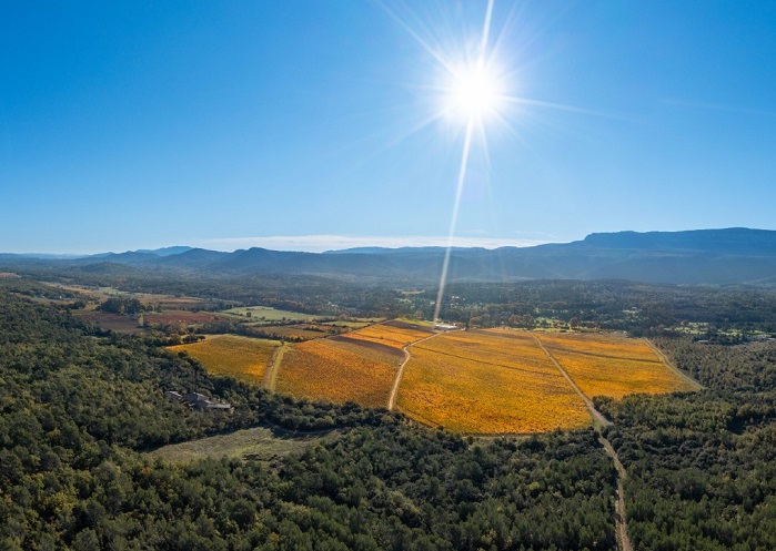 iDealwine Triennes domaine Provence rosé