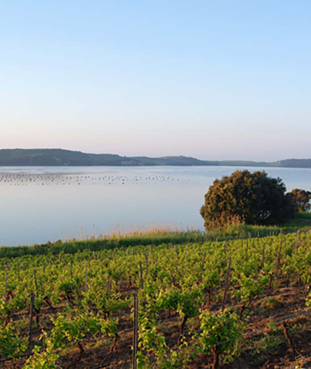 Clos-Poggiale