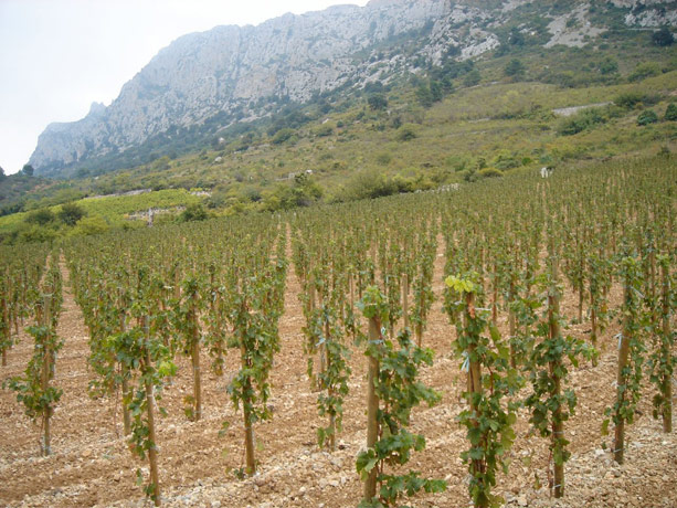 Clos des fées