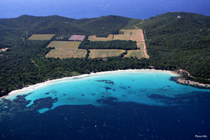 domaine de l'île Proquerolles