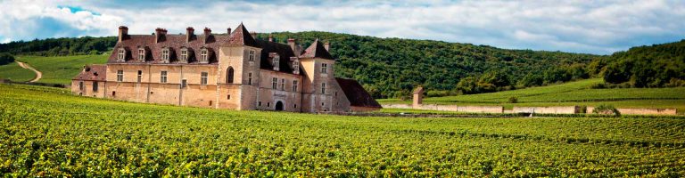 Lire la suite à propos de l’article Achat direct : en 500 cuvées, la Bourgogne que l’on aime