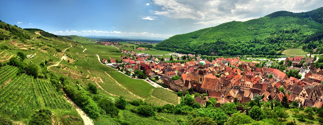 Alsace vignoble grand cru