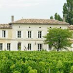 Château Grand Corbin-Despagne, une valeur montante bio à Saint-Emilion