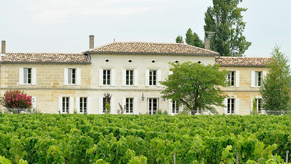 Lire la suite à propos de l’article Château Grand Corbin-Despagne, une valeur montante bio à Saint-Emilion