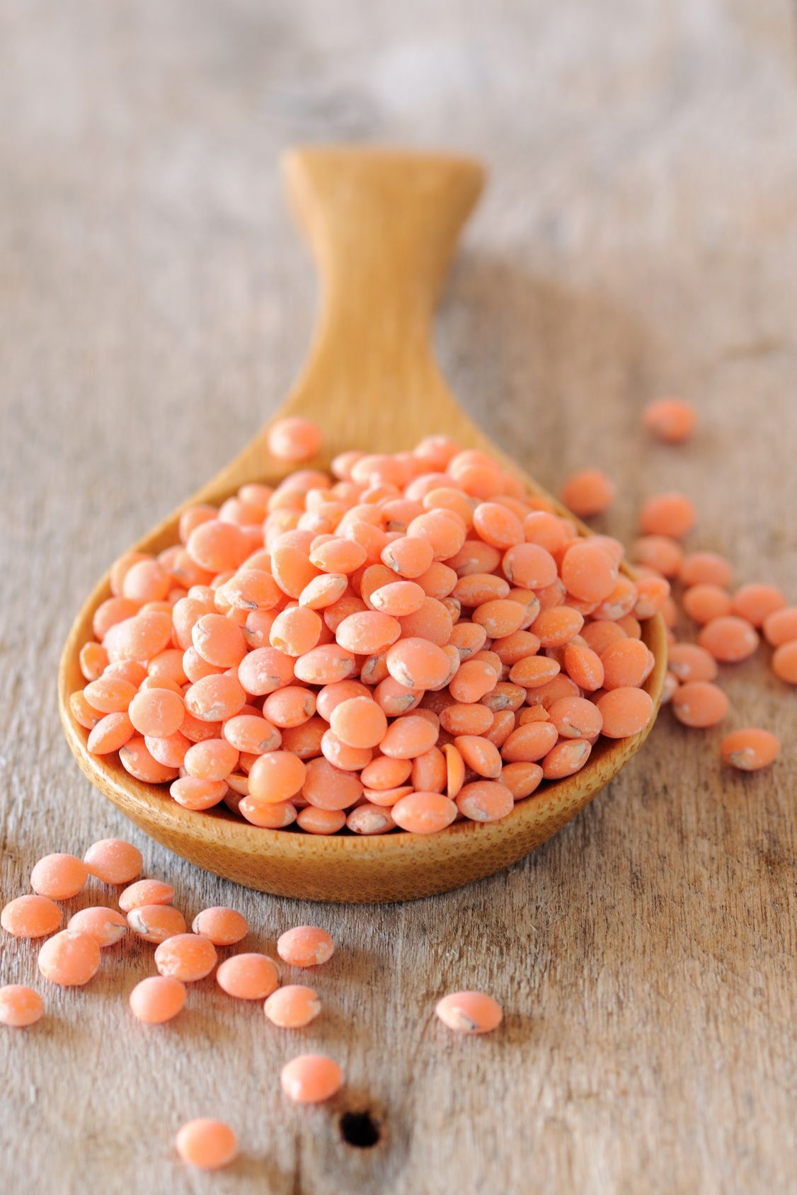 Lire la suite à propos de l’article Recette de la semaine  – Salade de lentilles corail, fenouil, saumon fumé et aneth