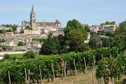 vignoble de Saint-Emilion en Aquitaine