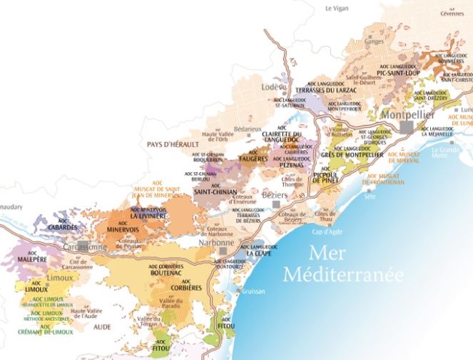 Lire la suite à propos de l’article Languedoc : notre guide des vins
