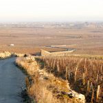 Maison Alex Gambal : un Américain amoureux de la Bourgogne