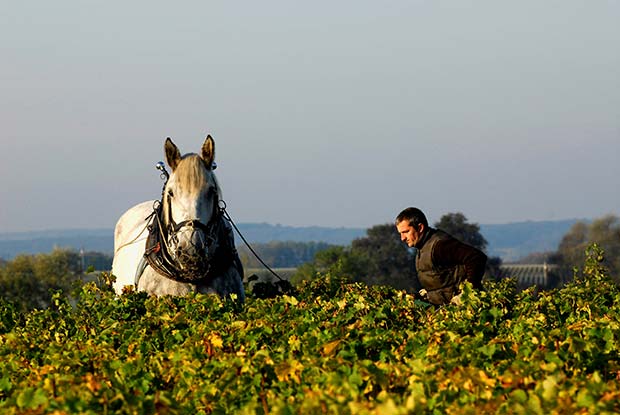 domaine-alexandre-bain