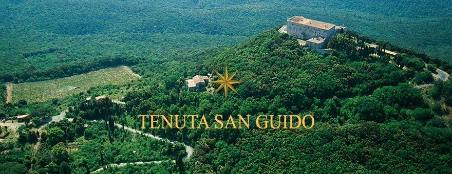 domaine-tenuta-san-guido