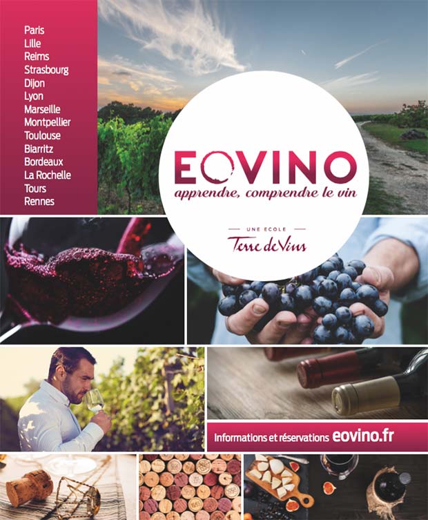 Lire la suite à propos de l’article Eovino, la nouvelle école de dégustation du magazine Terre de Vins