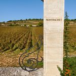 Millésime 2016 : pas de montrachet ou presque …