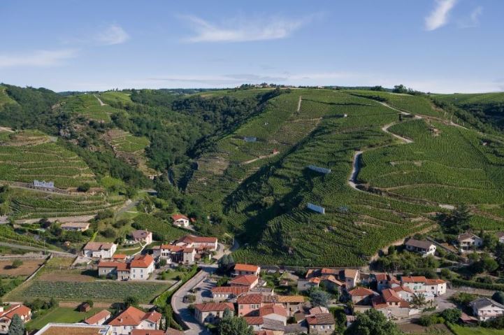 Stéphane Ogier iDealwine vin Côte-Rôtie 