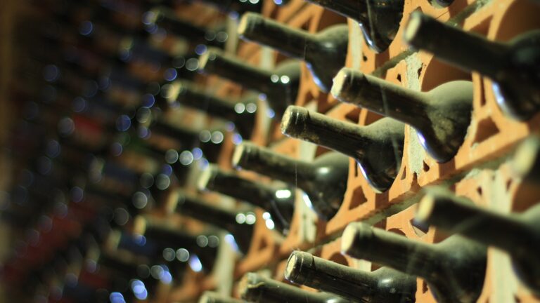 Lire la suite à propos de l’article Quand vendre son vin ?