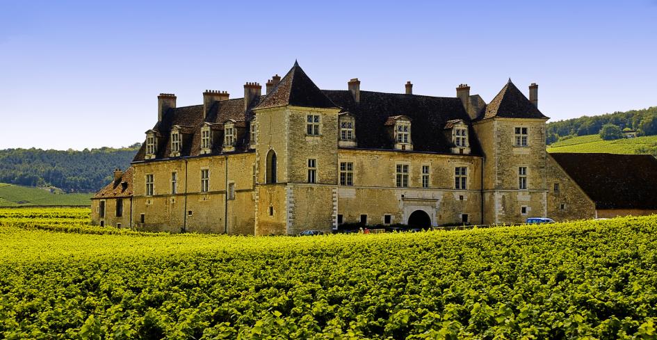 Clos de Vougeot