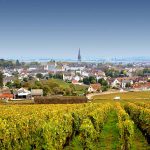 Classement sites de vente de vins de Bourgogne (RVF)- iDealwine sur le podium !