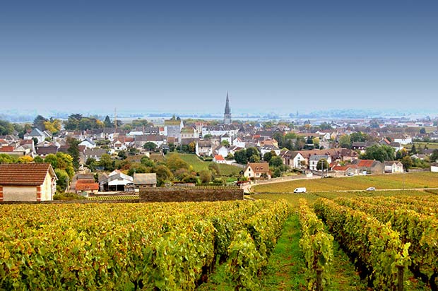 meilleurs-site-vente-vins-bourgogne