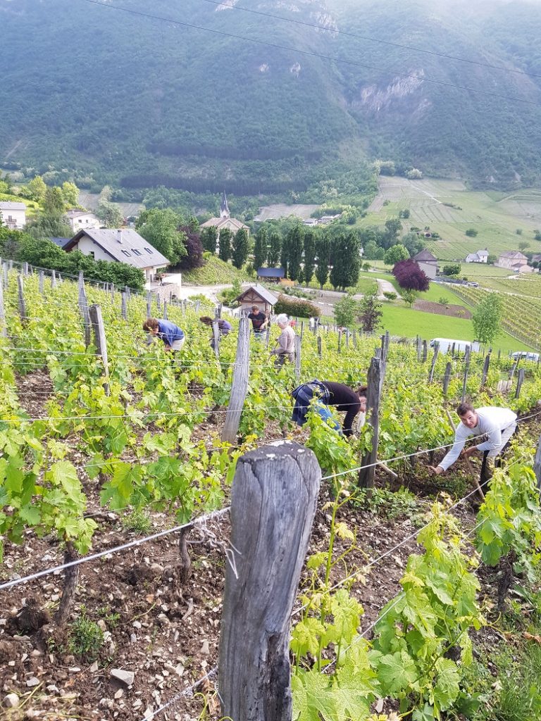 Domaine Gilles Berlioz Savoie 2