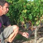 Le Clos Manou, un « Super bordeaux » comme on les aime