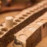 Conseils : comment reconnaître un vin bouchonné ?