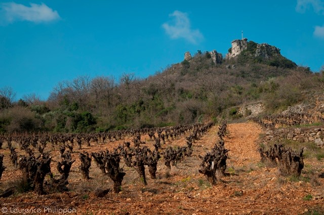 Mas Haut Buis, valeur montante des Terrasses du Larzac iDealwine 1