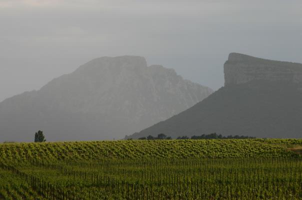 Frères Ravaille Pic Saint Loup 2