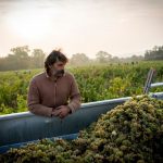 Jo Landron : les grands blancs du Muscadet