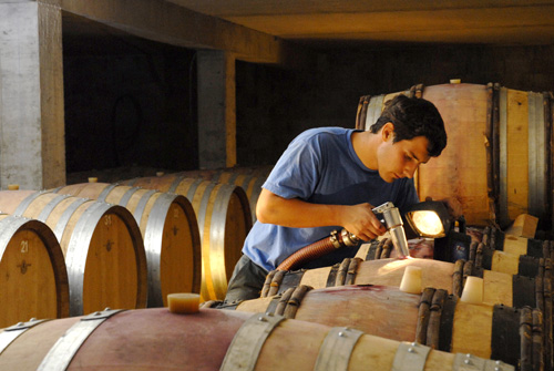 La Monardière Vacqueyras cave