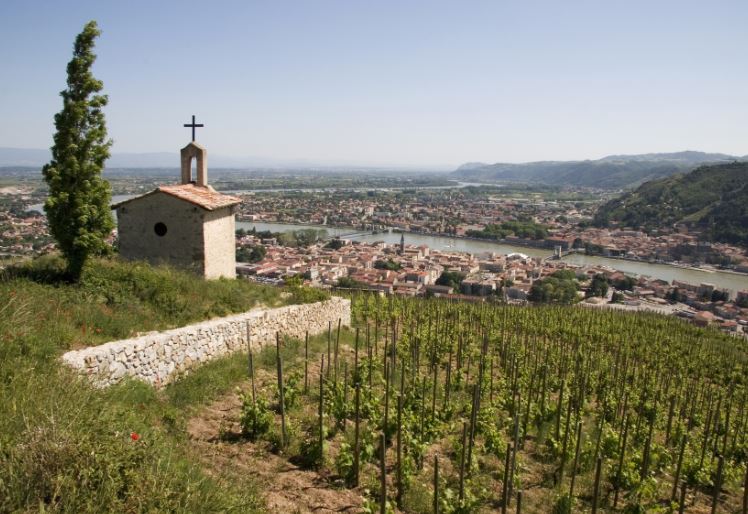 Guide des vins vallée du Rhône iDealwine Hermitage