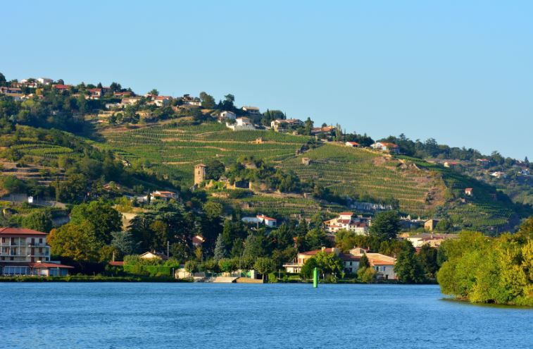Guide des vins vallée du Rhône iDealwine Condrieu