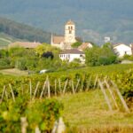 Le domaine Rijckaert, du Mâconnais au Jura, l’amour du chardonnay