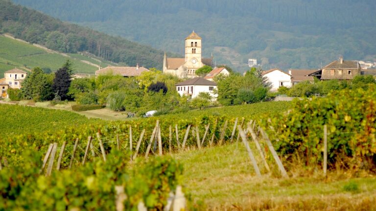 Lire la suite à propos de l’article Le domaine Rijckaert, du Mâconnais au Jura, l’amour du chardonnay