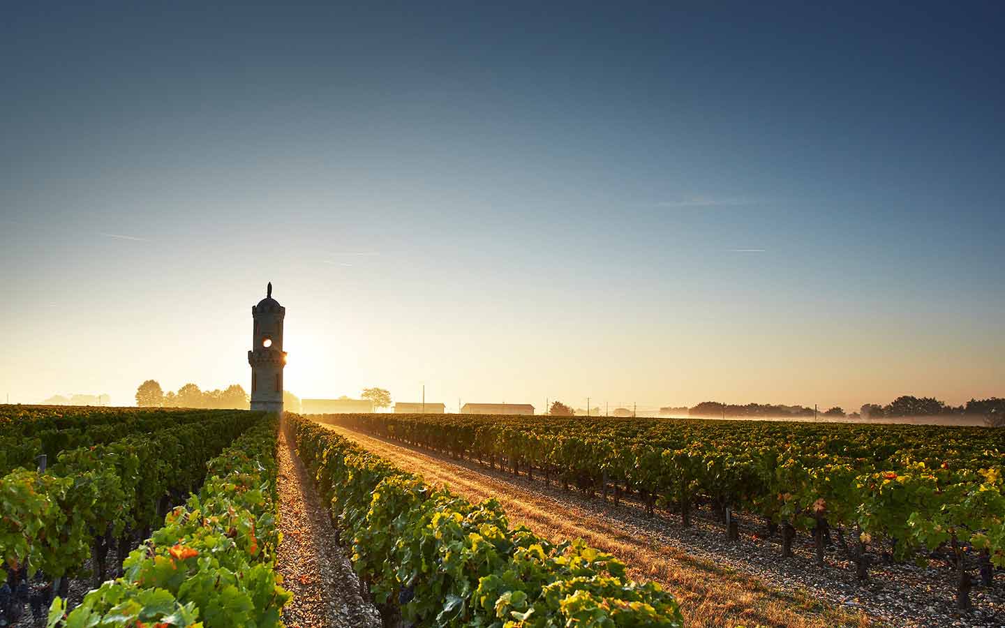 Haut-Batailley racheté par la famille Cazes (Lynch-Bages) iDealwine