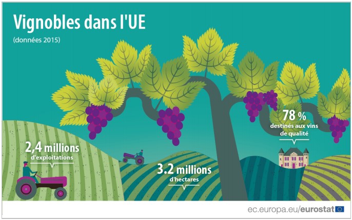 Lire la suite à propos de l’article Grandes régions viticoles européennes : la France sur le podium