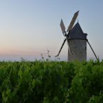 Château Tour Haut-Caussan, la distinction d’un cru bourgeois