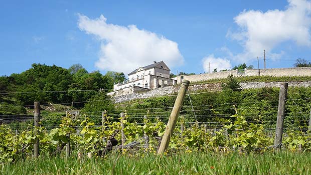 Une journée chez Albert Bichot iDealwine Chateau Gris