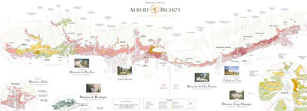 Une journée chez Albert Bichot iDealwine carte vignes