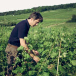Domaine Arlaud : le bourguignon à l’ascension infinie