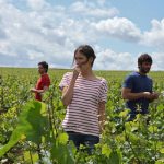 « Ce qui nous lie », le dernier film de Cédric Klapisch sur le vin