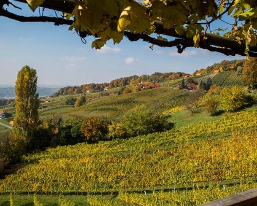 Lire la suite à propos de l’article Château de Roquefort : une sublime découverte en Provence