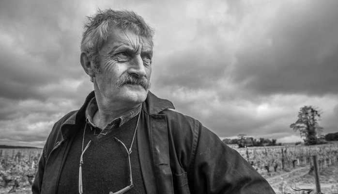 Clos Rougeard racheté par les frères Bouygues 2