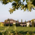 Château Smith Haut Lafitte : une success-story à Pessac-Léognan