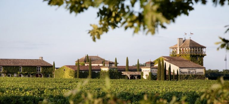 Lire la suite à propos de l’article Château Smith Haut Lafitte : une success-story à Pessac-Léognan