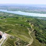 Domaine du Monteillet : l’étoile montante des chaillées