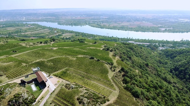 Lire la suite à propos de l’article Domaine du Monteillet : l’étoile montante des chaillées