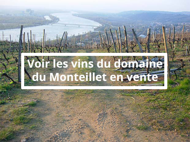 Vins-Domaine-Monteillet