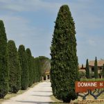 Guigal rachète le domaine de Nalys à Châteauneuf-du-Pape